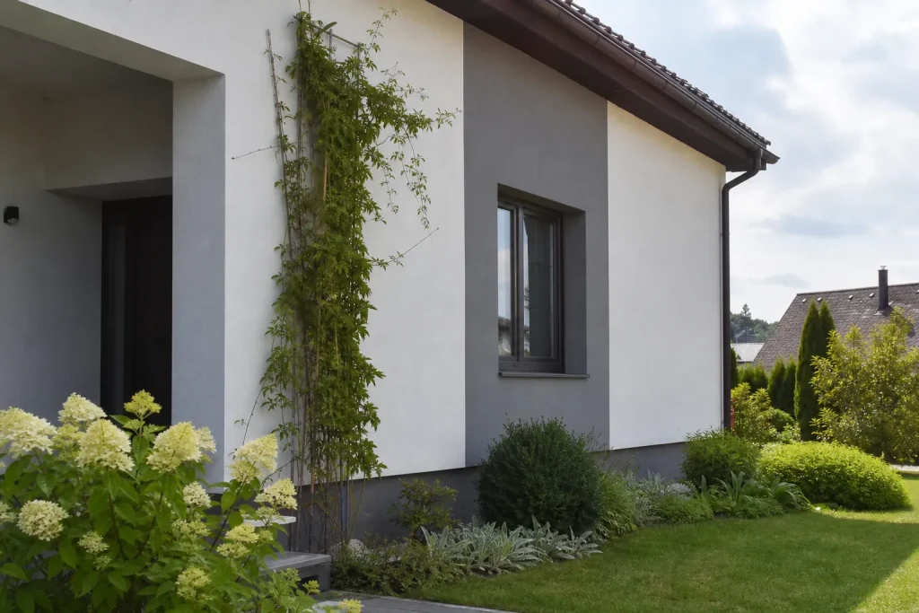 Fau00e7ade isolu00e9e avec plantes grimpantes